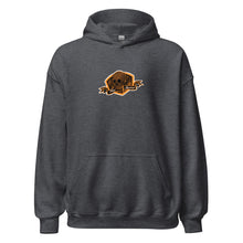 Load image into Gallery viewer, Unisex Hoodie melting skull logo