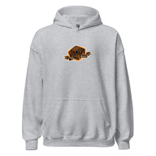 Load image into Gallery viewer, Unisex Hoodie melting skull logo