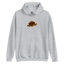 Load image into Gallery viewer, Unisex Hoodie melting skull logo