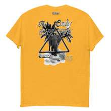 Φόρτωση εικόνας στο εργαλείο προβολής Συλλογής, Men's classic tee elephant