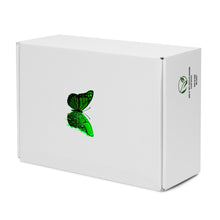 Load image into Gallery viewer, Women’s high top canvas shoes